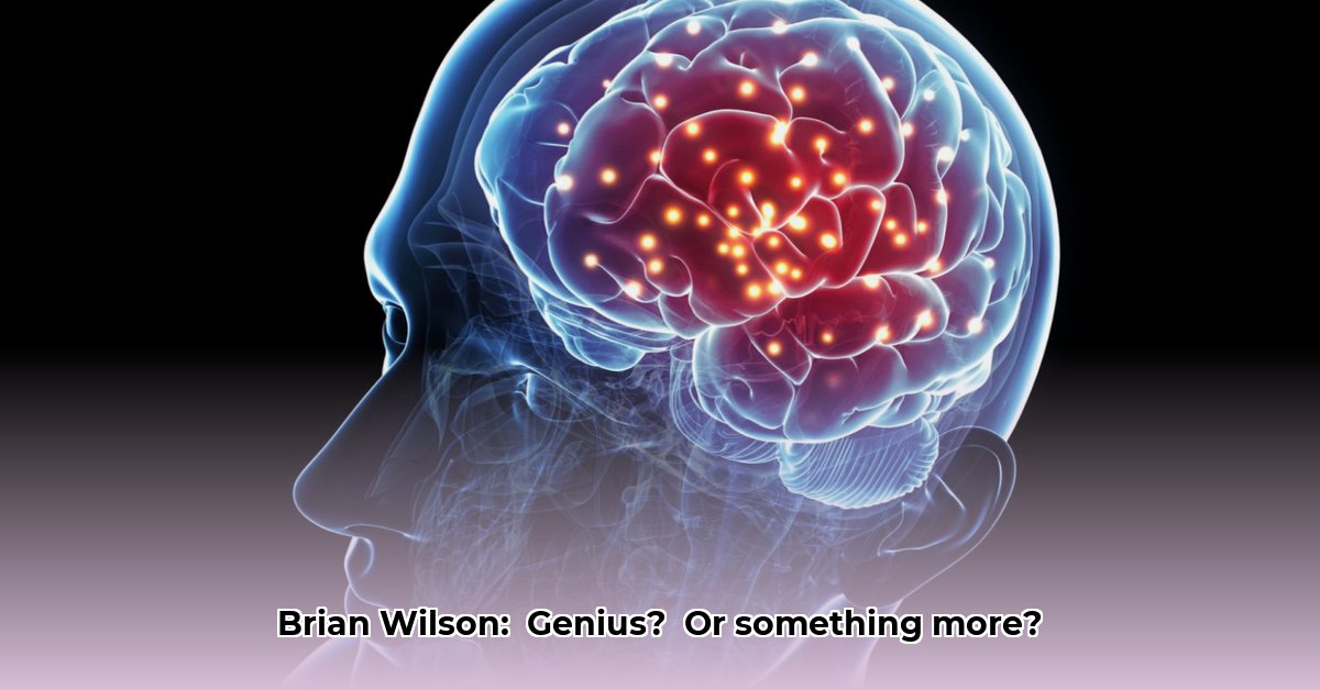 brain-wilson